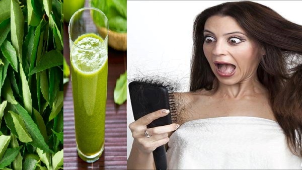 Does drinking curry leaves juice stops hair loss in Telugu Does drinking curry leaves juice stops hair loss in Telugu