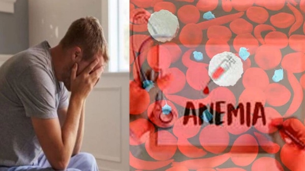 Iron Deficiency : Myths and Facts About Iron Deficiency in Telugu