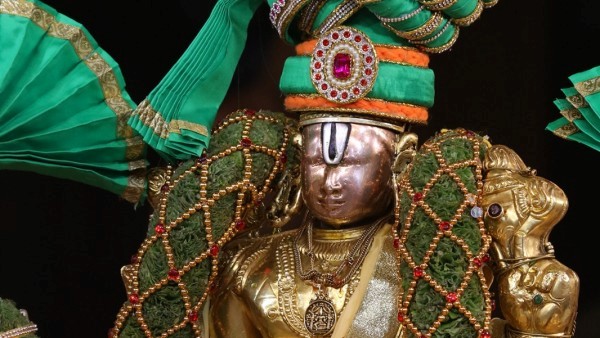 Snapana Tirumanjanam with Basil, Lotus seeds and Pavitra Malas to Sri Balaji in Tirumala. 