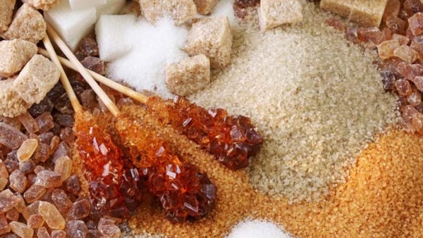 Kidney Damaging Foods: Eating These White Foods That Can Lead to Kidney Stones and Damage Kidney