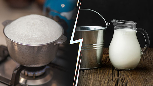 Raw Milk Vs Boiled Milk Which is Best for Health Raw Milk Vs Boiled Milk Which is Best for Health