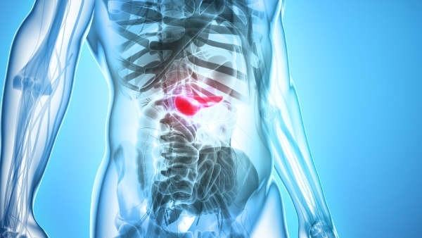 International mens day