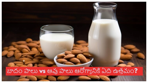 National Milk day 2023