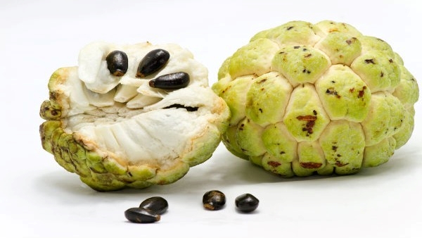  Health Benefits of Eating Custard Apple 