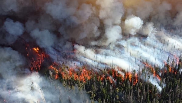 Bab Vanga Prediction For 2024