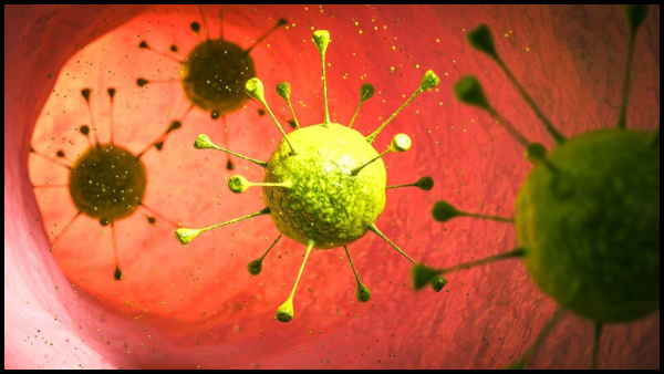 New COVID Variant JN1: All You Need To Know here