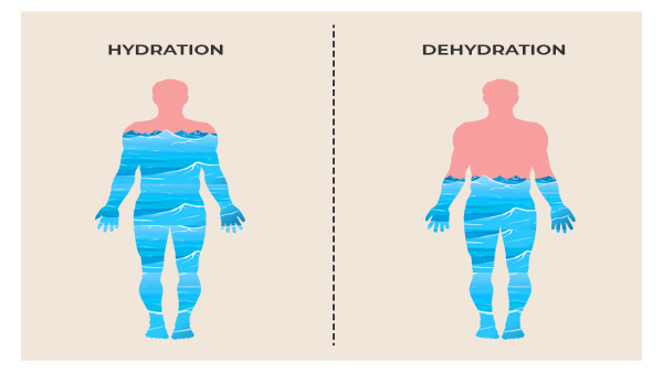 Common Habits That Affects Kidney Health in Telugu