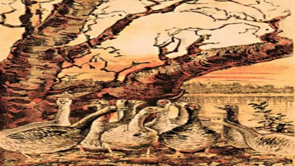 Optical Illusion: What You See First In This Photo Will Tell Your Personality 