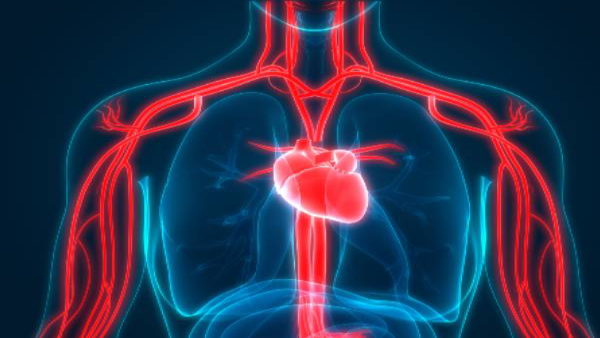 Silent Heart Attack in Winter: