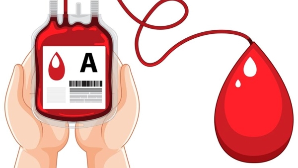  Most people are worried about donating blood as they feel it will lead to significant weakness and might cause problems to them. Hence, it is important to understand what happens to your body after donating blood.