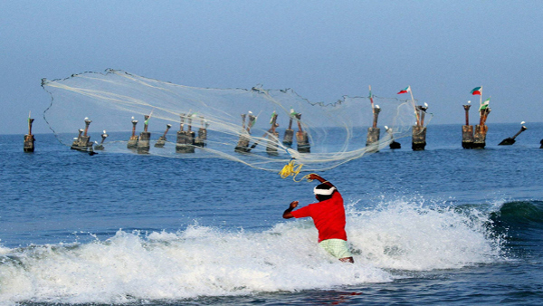 What Would Happen If All The Fish In Ocean Disappeared? Here The Truth