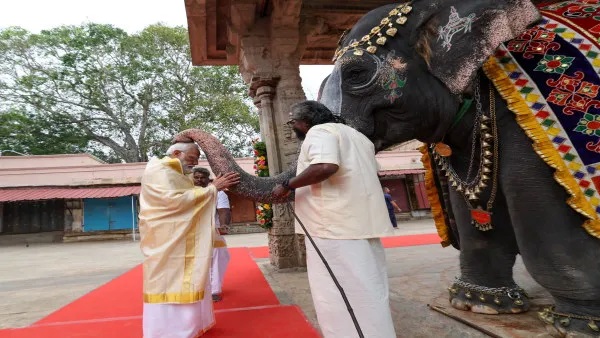 Elephant Played Mouth Organ In Front Of PM Modi