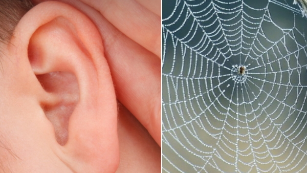 woman finds spider nesting inside ear