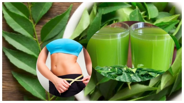 Curry Leaves Water On Empty Stomach