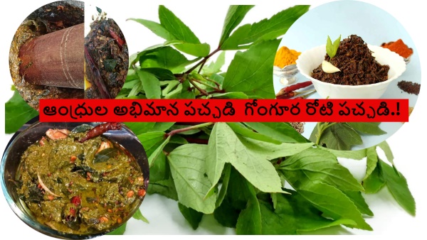 Gongura Pachadi Recipe