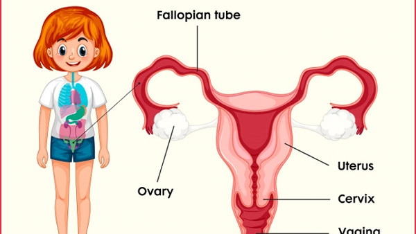 Poonam Pandey Passes Away Due To Cervical Cancer
