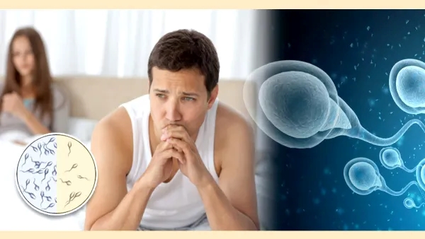 Low Sperm Count in Male