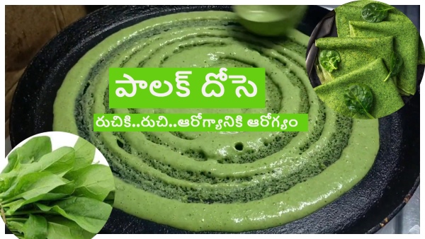 How to Make Delicious Palak Dosa Recipe in Telugu
