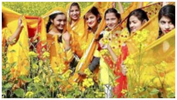  Yellow Colour During Vasant Panchami