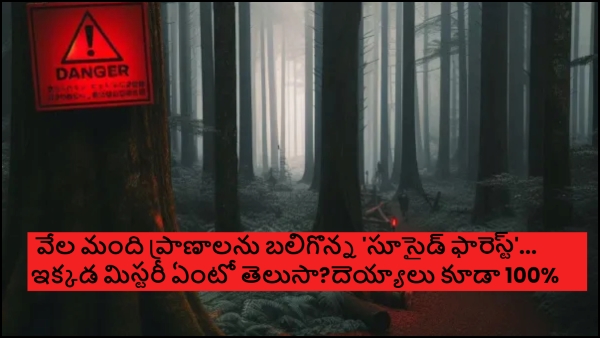 Aokigahara Forest The Suicide Forest of Japan Aokigahara Forest The Suicide Forest of Japan