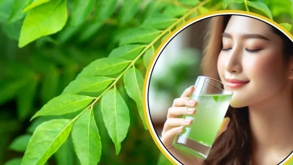 Curry Leaves Water On Empty Stomach
