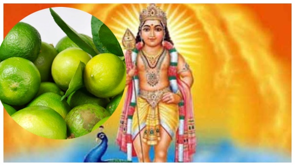 Lemons are auctioned for lakhs of rupees at the Murugan temple in Tamil Nadu Lemons are auctioned for lakhs of rupees at the Murugan temple in Tamil Nadu