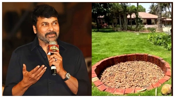 Megastar Chiranjeevi s water conservation tips Amid Bengaluru Water Crisis