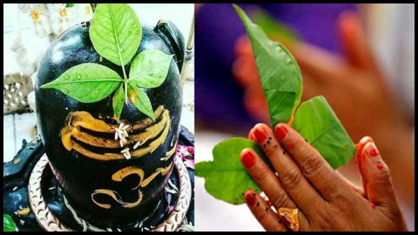 Maha Shivratri 2024 Maha Shivratri 2024