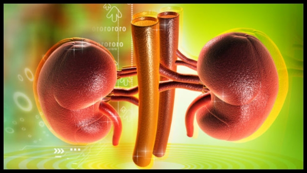 28 of Indians undergoing dialysis die within 10 months 28 of Indians undergoing dialysis die within 10 months