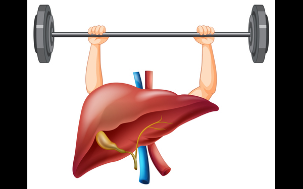 food for healthy liver