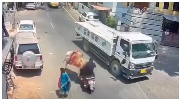 A bull attacked a man riding a bike in Bengaluru and pushed him under a truck viral vedio