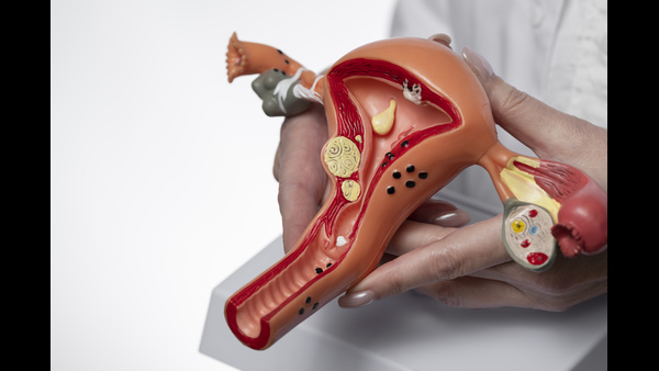 Cervical Cancer Symptoms Vaccine causes awareness