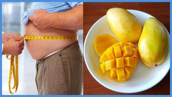 Does eating mangoes increase blood sugar levels and lead to weight gain Shocking study