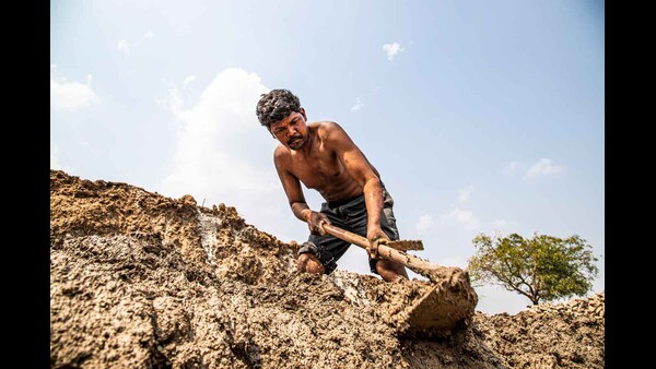 Why may day is celebrated every year on may 1 and what is its significance