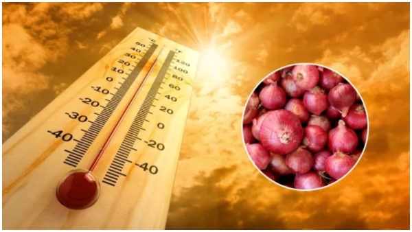 Health Benefits of Consuming onions during the hot summer