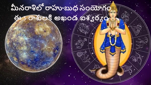 Rahu-Mercury conjunction in Pisces