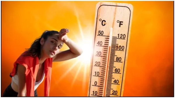 Feeling tired in summer but eat more of these foods