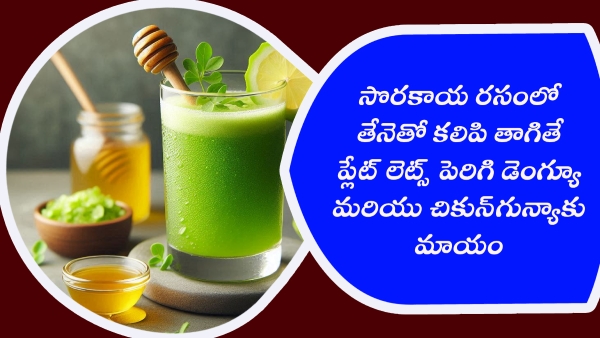 Drink this Bottle Gourd juice with Honey to Prevent Dengue in telugu