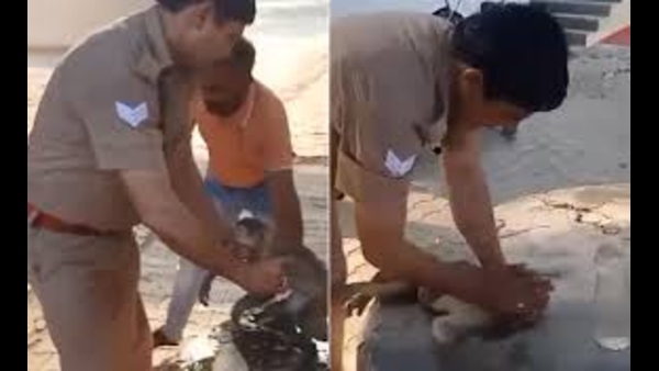 viral-videos-trending-on-social-media-constable-saves-monkeys-life-by-doing-cpr viral-videos-trending-on-social-media-constable-saves-monkeys-life-by-doing-cpr