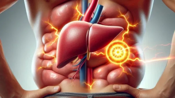 Fatty Liver Fatty Liver