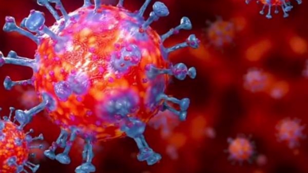 life-expectancy-decreased-by-a-decade-due-to-corona life-expectancy-decreased-by-a-decade-due-to-corona