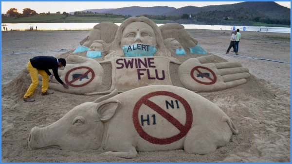 Swine Flu Outbreak Know symptoms and precautionary