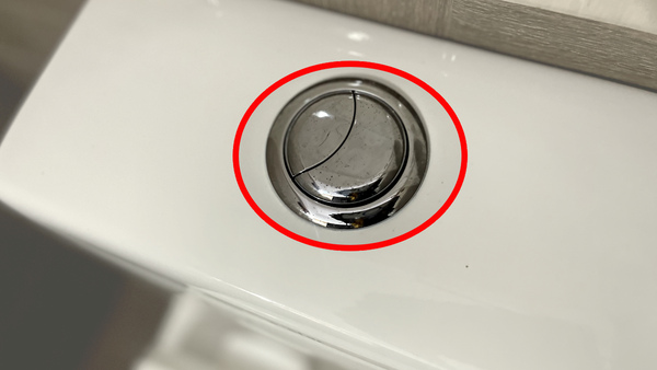 do-you-know-why-western-toilet-flush-has-2-buttons-here-is-the-reason