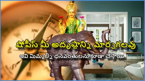 Vastu Tips A showpiece can change your fortune it can also make you rich