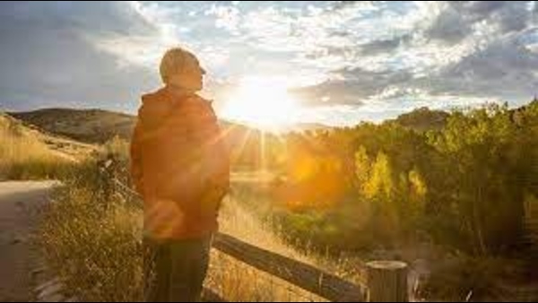 how-to-increase-vitamin-d-in-body