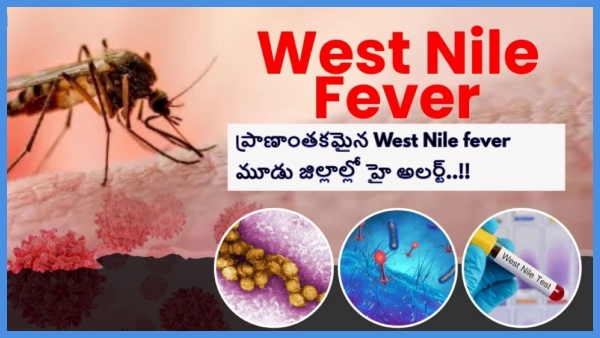 Deadly West Nile fever alert in three districts in Kerala Deadly West Nile fever alert in three districts in Kerala