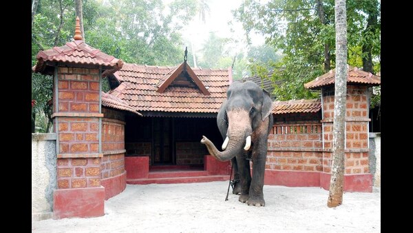 you-will-find-these-signs-before-anything-good-going-to-happen-in-life-according-in-hindu-sastra