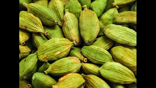 what-are-the-health-benefits-of-drinking-cardamom-warm-water-daily