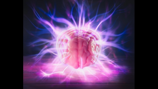 human-brain-has-inbuild-power-when-it-is-used-we-can-cure-many-problems-easily human-brain-has-inbuild-power-when-it-is-used-we-can-cure-many-problems-easily