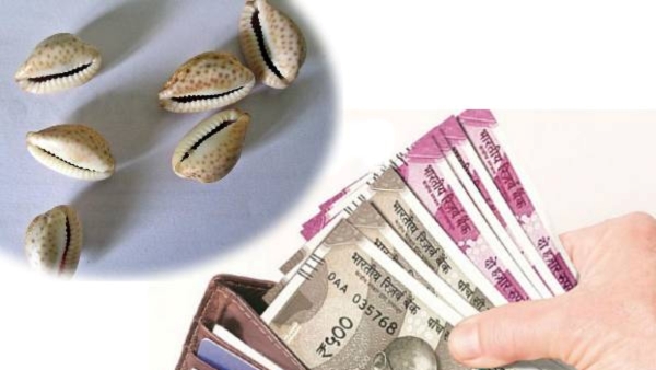 As per astrology Keep these things in your purse to improve your finances